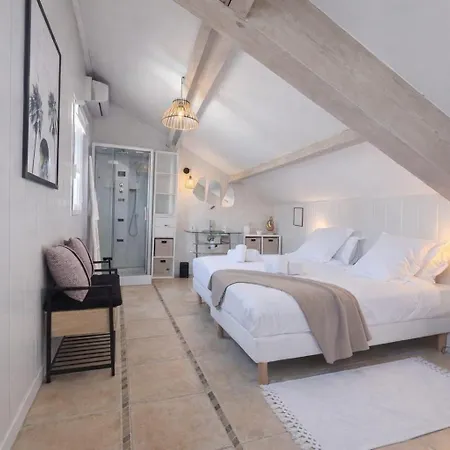 Notre Dame - Apartman *