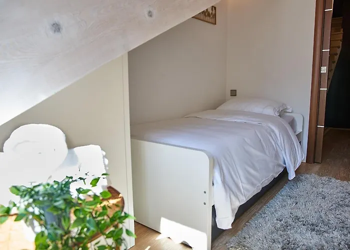 Notre Dame - Apartamento Cannes